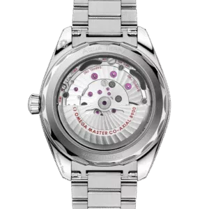 ساعت مچی مردانه امگا(OMEGA) مدل  220.10.41.21.03.004